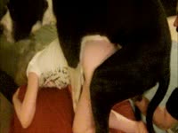 Dog railing the pussy of a skinny whore